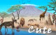 Cute prepaid phone card Cute prepaid phone card