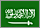 Saudi Arabia